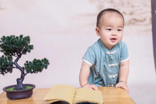 漳州可爱的企鹅宝宝